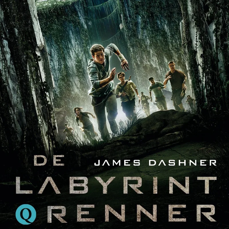 De labyrintrenner by Volt – book photo