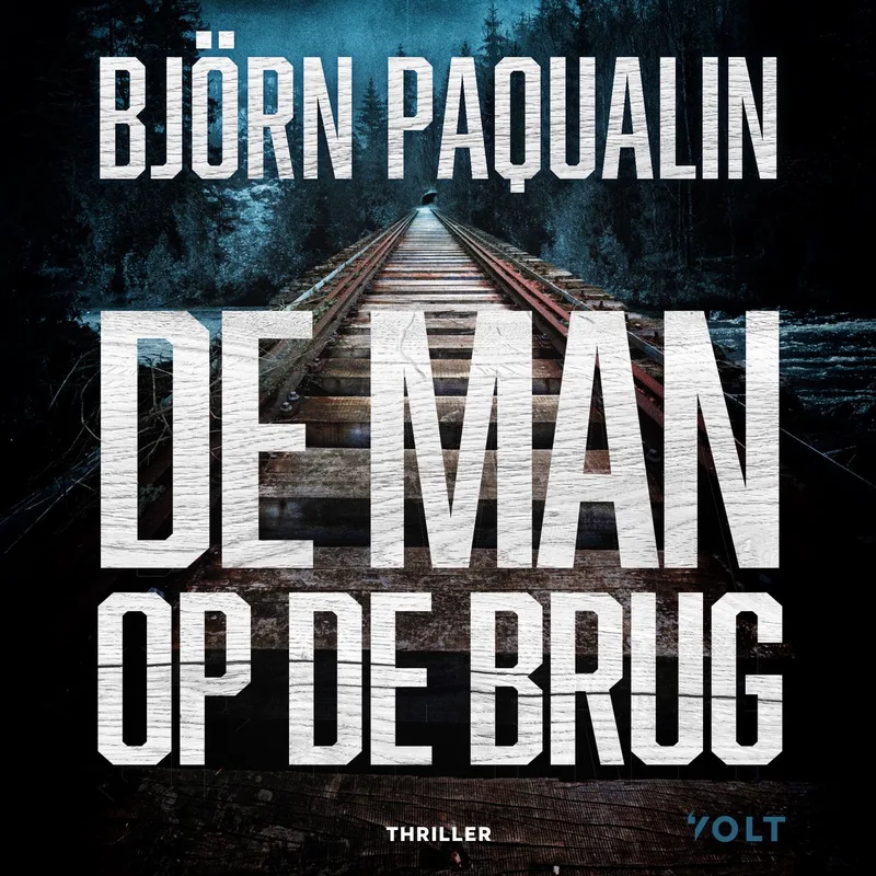 De man op de brug von Volt – Buchfoto