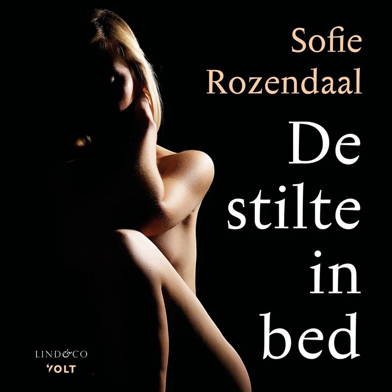De stilte in bed von Volt – Buchfoto