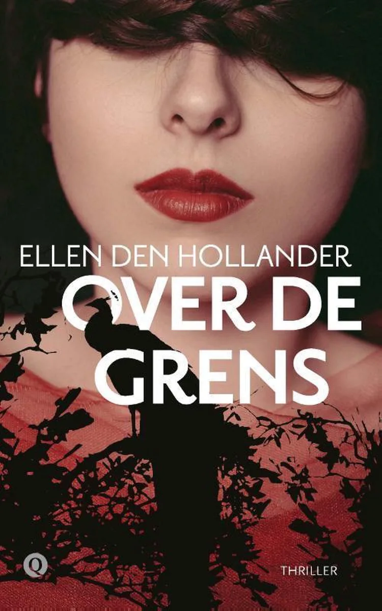 Over de grens van Volt – boekfoto
