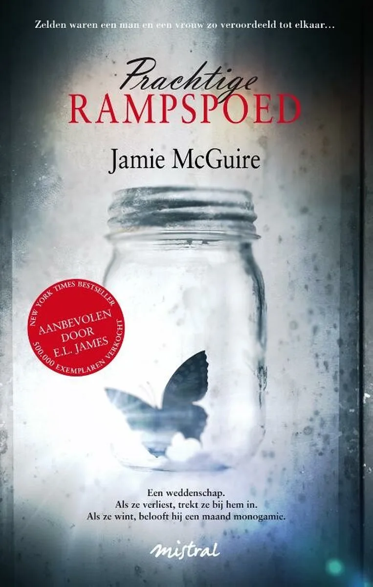 Prachtige rampspoed de Volt – photo du livre