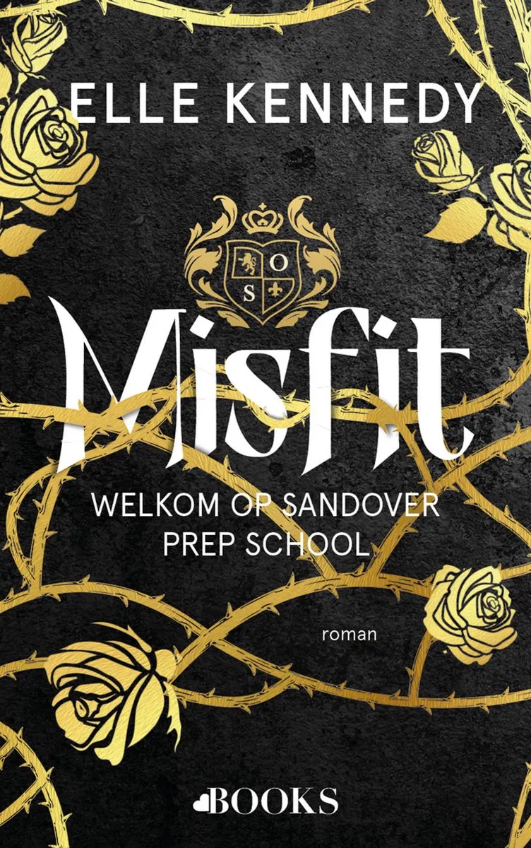 Sandover 1 - Misfit von Volt – Buchfoto