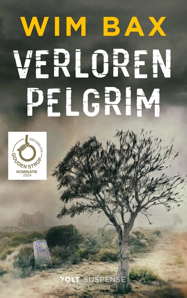 Verloren pelgrim von Volt – Buchfoto