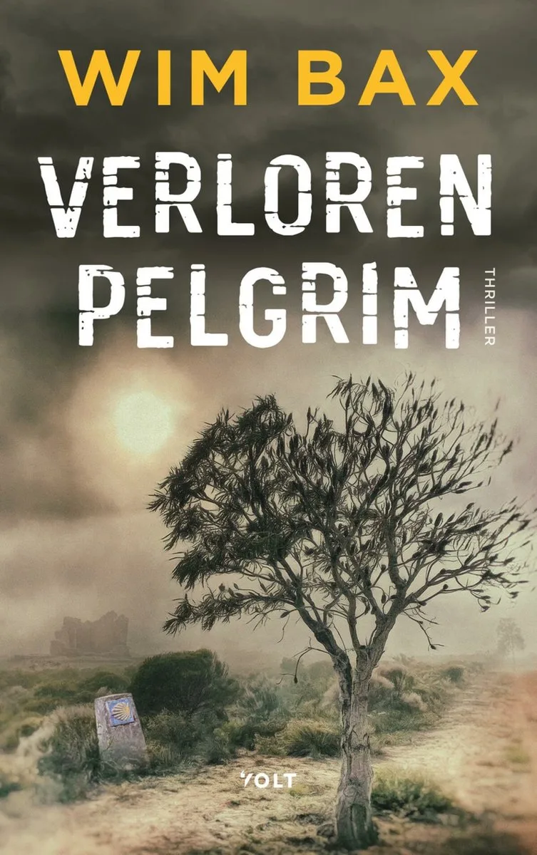 Verloren pelgrim fra Volt – billede af bogen