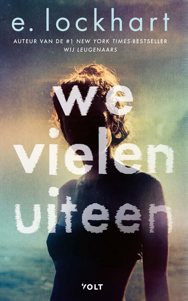 We vielen uiteen von Volt – Buchfoto