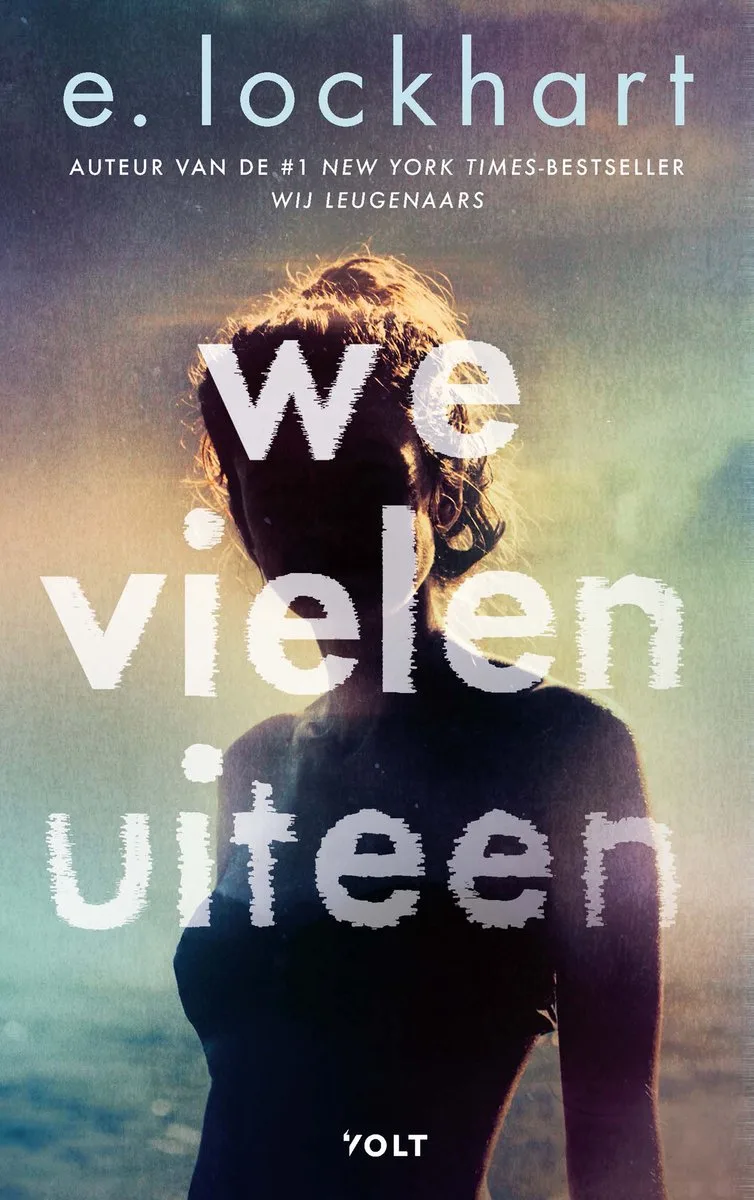We vielen uiteen von Volt – Buchfoto