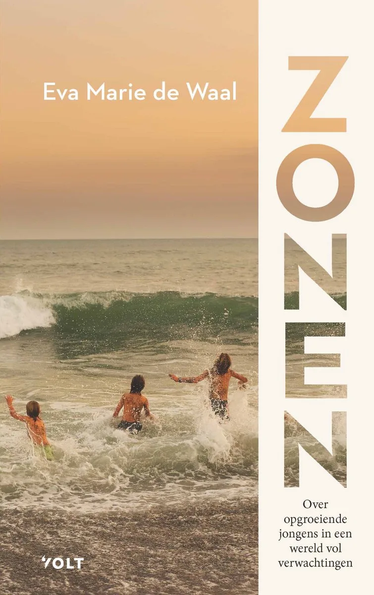 Zonen von Volt – Buchfoto