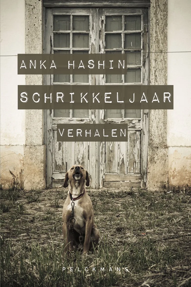 Schrikkeljaar von Vrijdag – Buchfoto