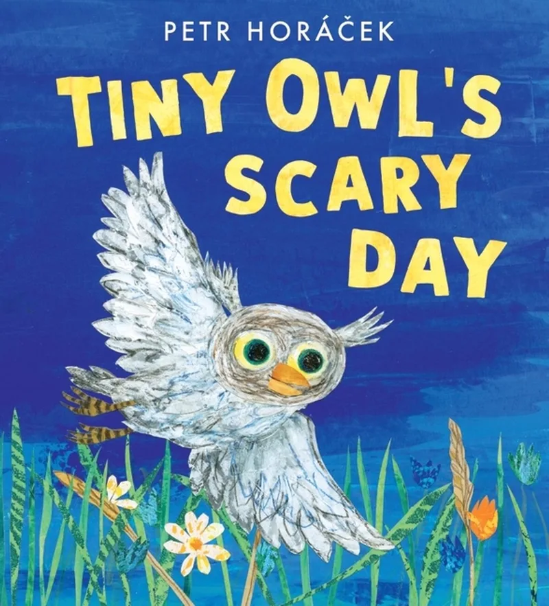 Tiny Owl's Scary Day von Walker Books – Buchfoto