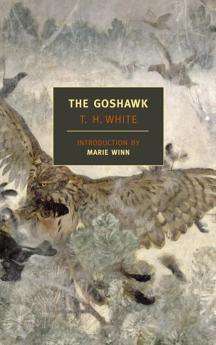 Goshawk fra Weidenfeld & Nicolson – billede af bogen
