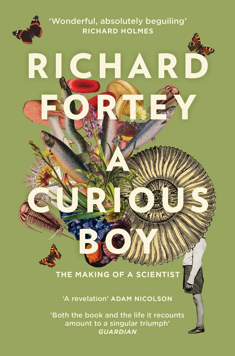 A Curious Boy de William Collins – photo du livre