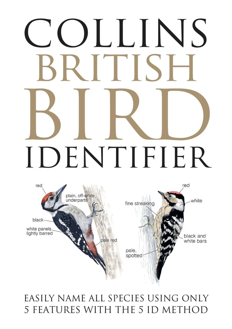 Collins British Bird Identifier von William Collins – Buchfoto
