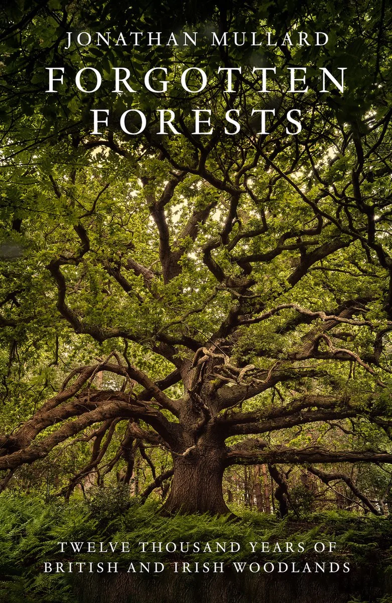 Forgotten Forests von William Collins – Buchfoto