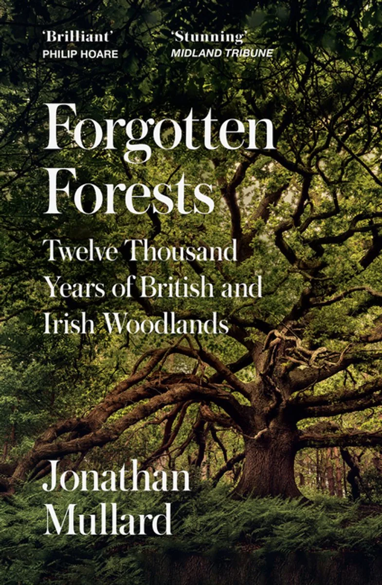 Forgotten Forests von William Collins – Buchfoto