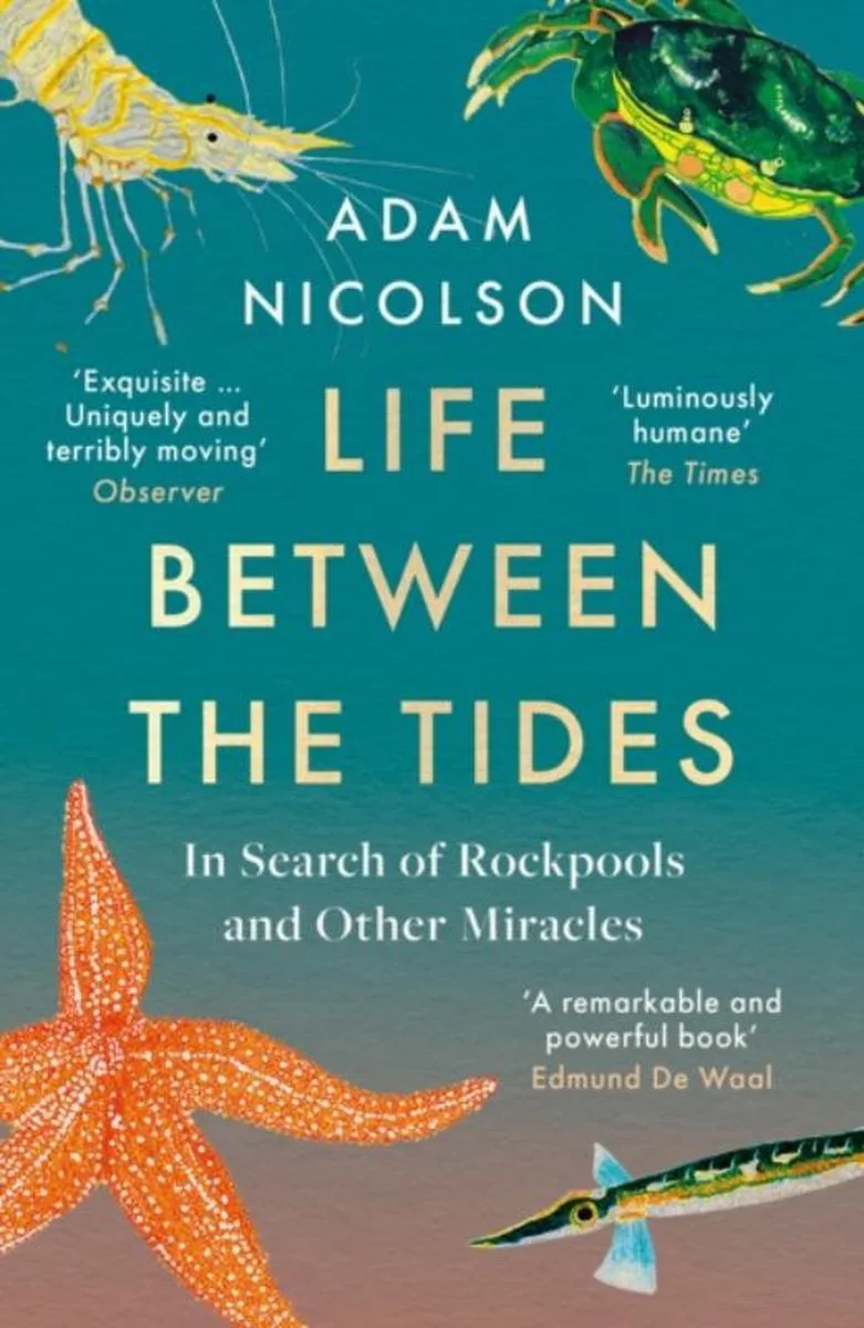 Life Between the Tides von William Collins – Buchfoto