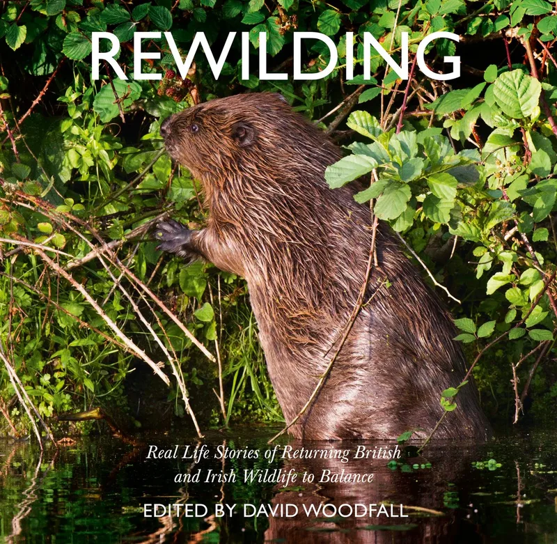 Rewilding fra William Collins – billede af bogen