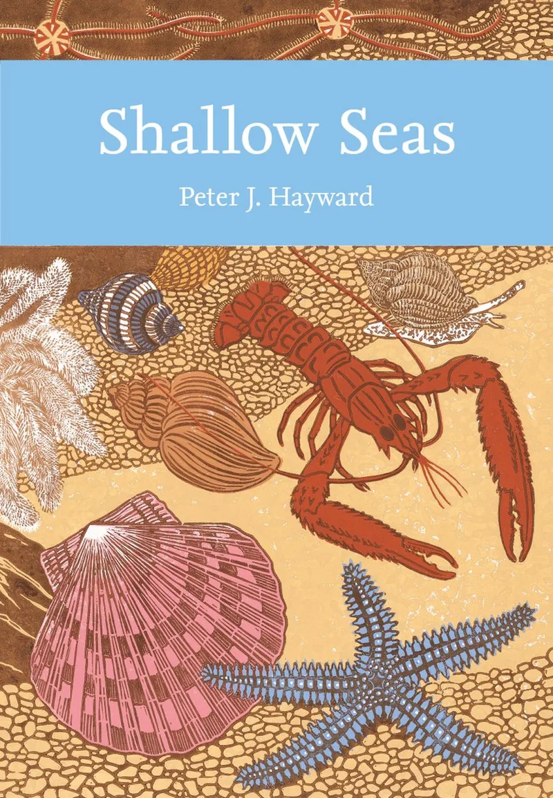 Shallow Seas fra William Collins – billede af bogen