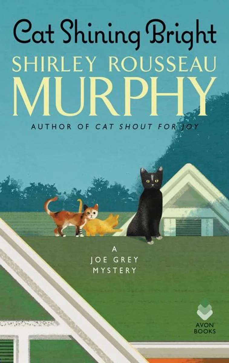 Cat Shining Bright fra William Morrow – billede af bogen