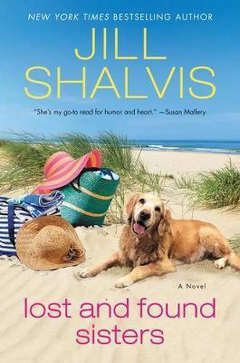 Lost and Found Sisters von William Morrow – Buchfoto