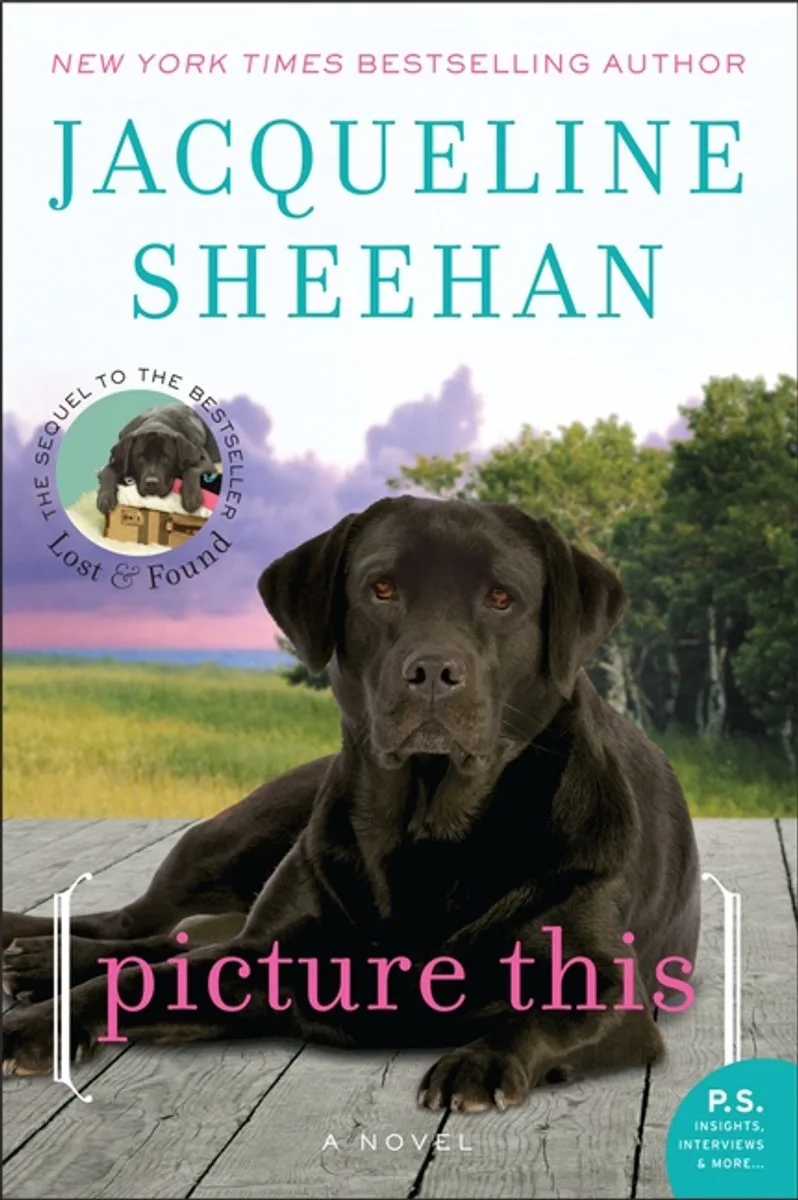 Picture This von William Morrow – Buchfoto