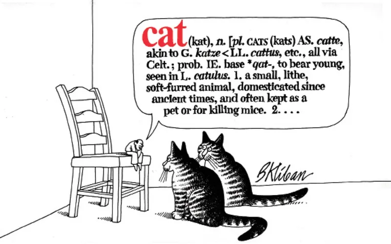 Cat de Workman Publishing – photo du livre