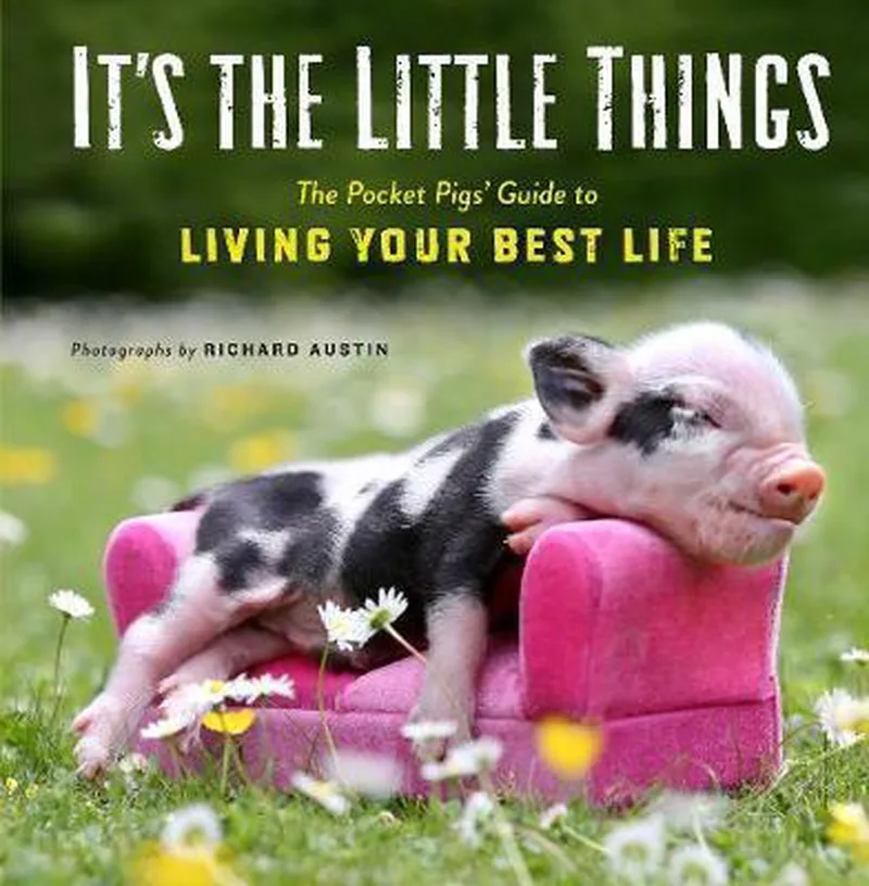 It's the Little Things von Workman Publishing – Buchfoto