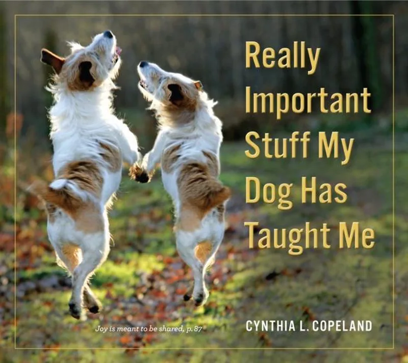 Really Important Stuff My Dog von Workman Publishing – Buchfoto