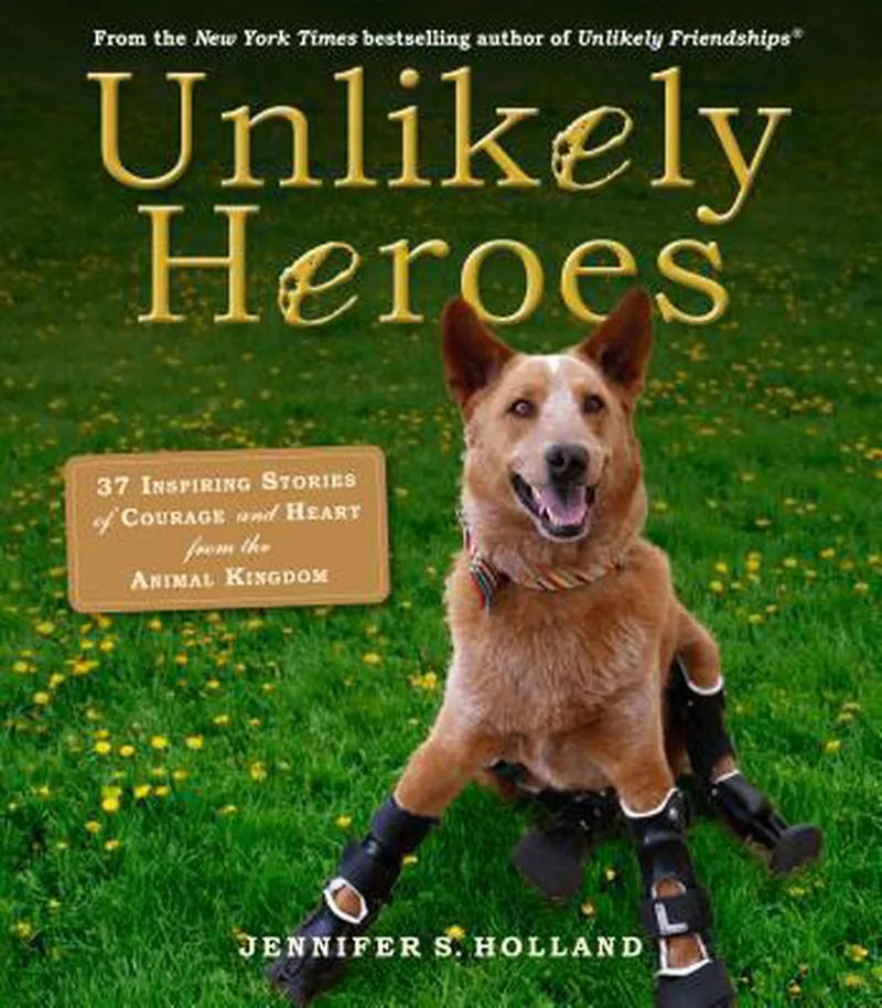 Unlikely Heroes van Workman Publishing – boekfoto