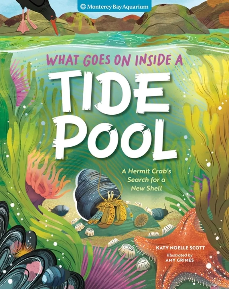 What Goes On Inside A Tide Pool von Workman Publishing – Buchfoto