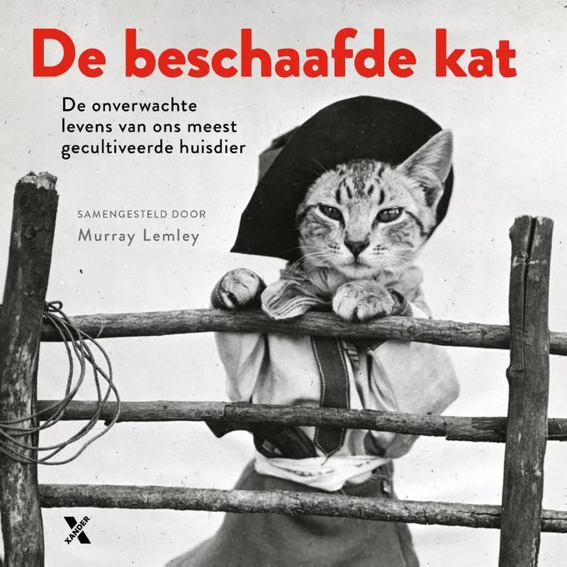 De beschaafde kat van Xander – boekfoto