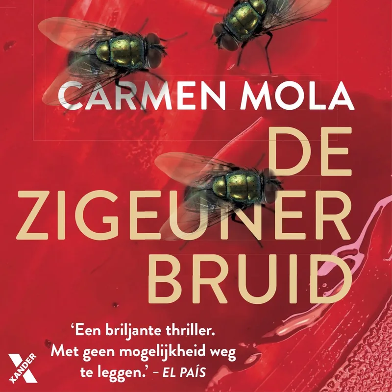 De zigeunerbruid von Xander – Buchfoto