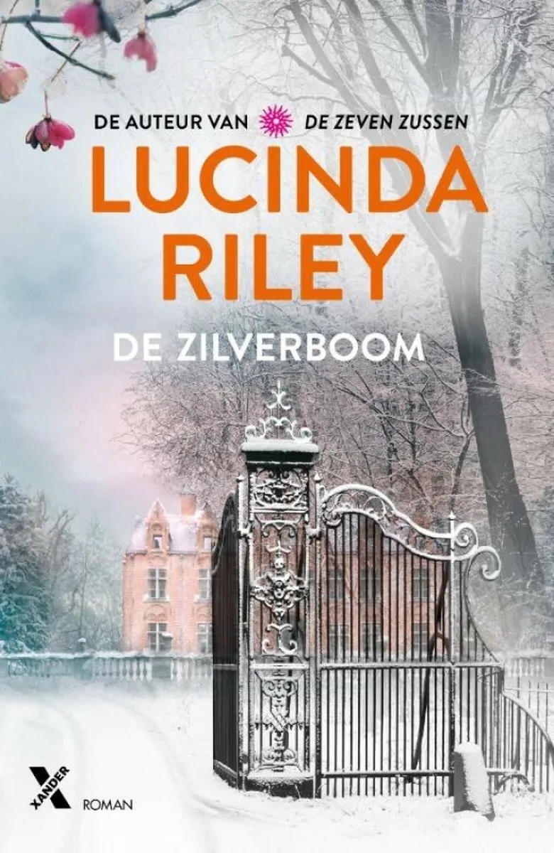 De zilverboom von Xander – Buchfoto