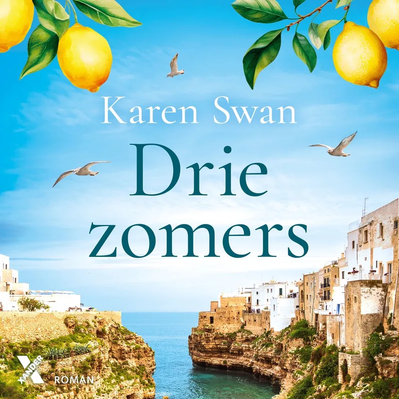 Drie zomers fra Xander – billede af bogen