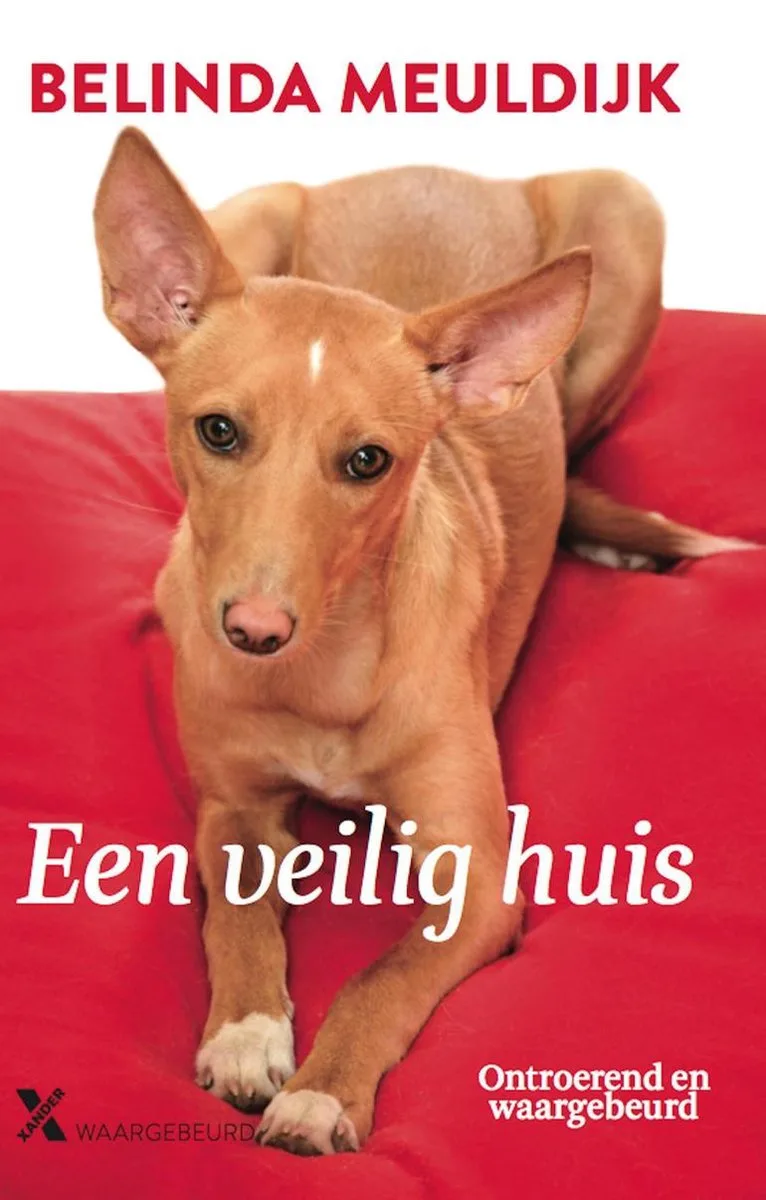 Een veilig huis von Xander – Buchfoto
