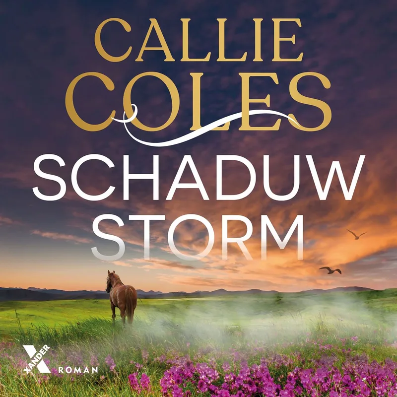 Schaduwstorm fra Xander – billede af bogen