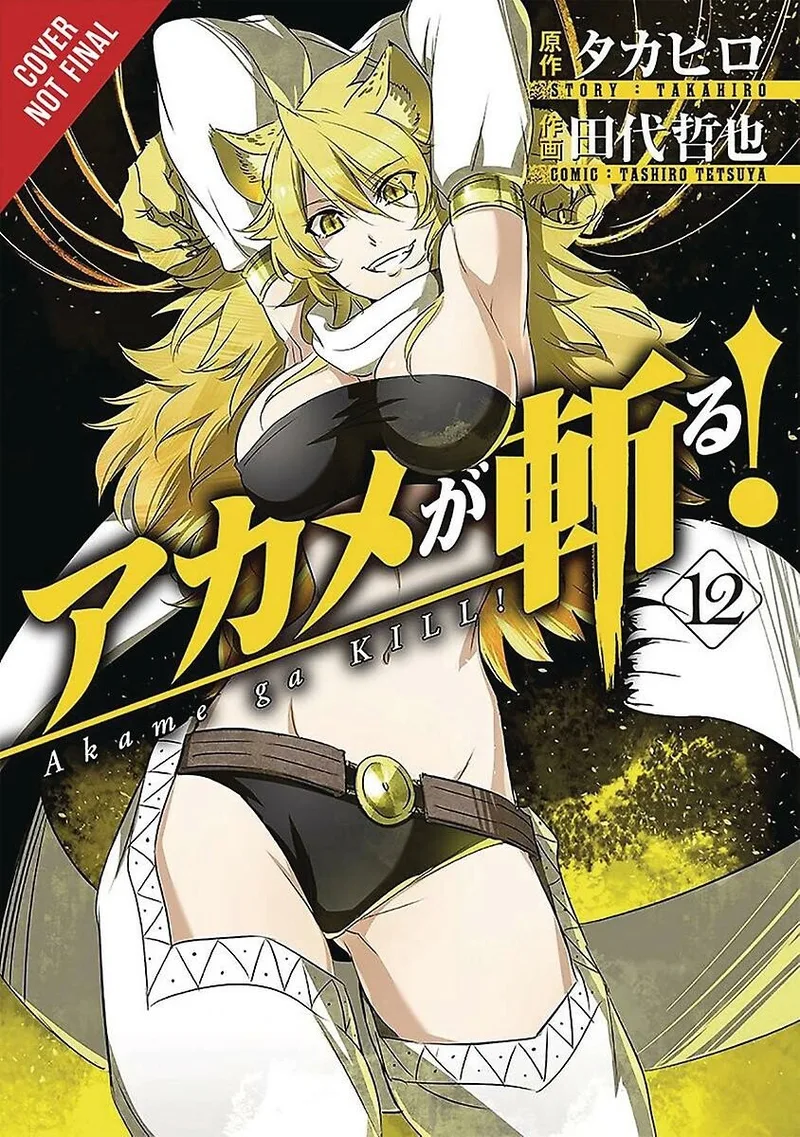 Akame Ga Kill! 12 von Yen Press – Buchfoto